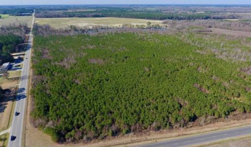 Photo of SOLD!!  121.43 Acres of Farm and Timber Land For Sale in Edgecombe County NC!