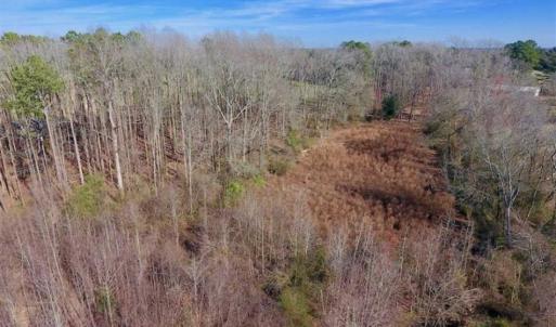Photo of SOLD!!  121.43 Acres of Farm and Timber Land For Sale in Edgecombe County NC!