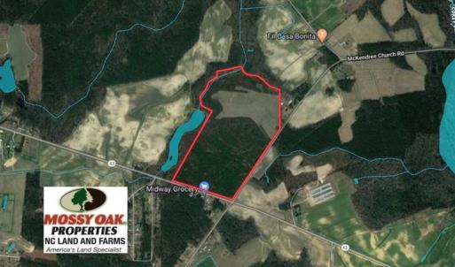 Photo of SOLD!!  121.43 Acres of Farm and Timber Land For Sale in Edgecombe County NC!