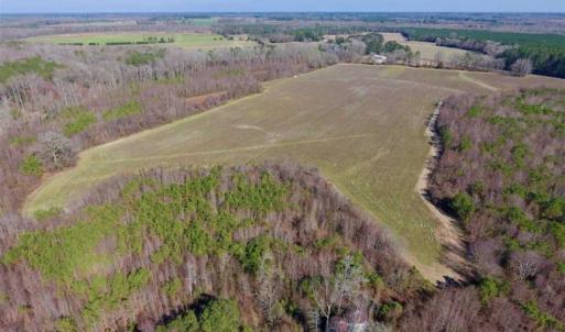 Photo of SOLD!!  121.43 Acres of Farm and Timber Land For Sale in Edgecombe County NC!