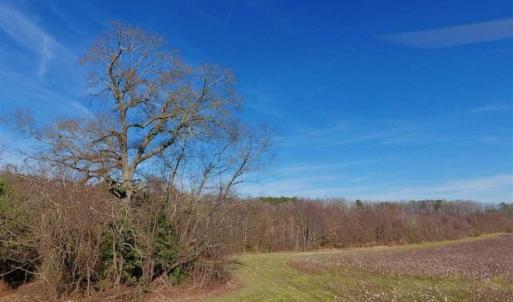 Photo of SOLD!!  121.43 Acres of Farm and Timber Land For Sale in Edgecombe County NC!