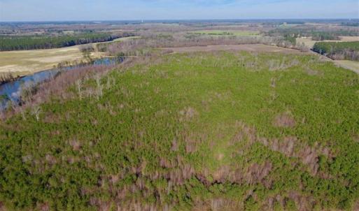 Photo of SOLD!!  121.43 Acres of Farm and Timber Land For Sale in Edgecombe County NC!