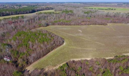 Photo of SOLD!!  121.43 Acres of Farm and Timber Land For Sale in Edgecombe County NC!
