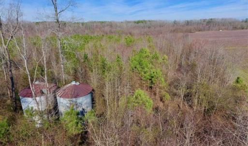 Photo of SOLD!!  121.43 Acres of Farm and Timber Land For Sale in Edgecombe County NC!