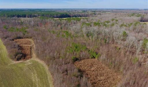 Photo of SOLD!!  121.43 Acres of Farm and Timber Land For Sale in Edgecombe County NC!