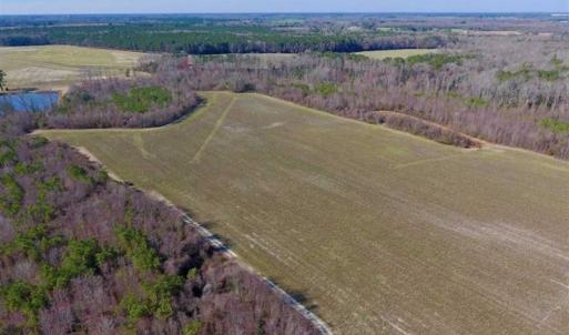 Photo of SOLD!!  121.43 Acres of Farm and Timber Land For Sale in Edgecombe County NC!