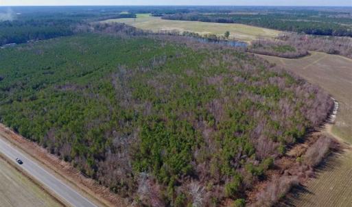 Photo of SOLD!!  121.43 Acres of Farm and Timber Land For Sale in Edgecombe County NC!