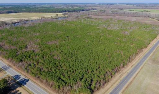 Photo of SOLD!!  121.43 Acres of Farm and Timber Land For Sale in Edgecombe County NC!