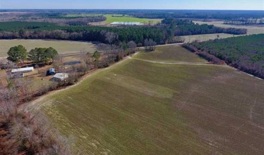 Photo of SOLD!!  121.43 Acres of Farm and Timber Land For Sale in Edgecombe County NC!