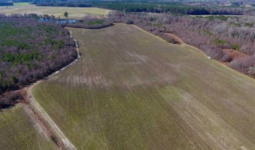 Photo of SOLD!!  121.43 Acres of Farm and Timber Land For Sale in Edgecombe County NC!
