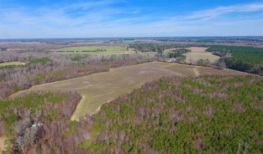 Photo of SOLD!!  121.43 Acres of Farm and Timber Land For Sale in Edgecombe County NC!