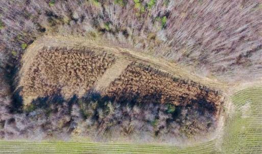 Photo of SOLD!!  121.43 Acres of Farm and Timber Land For Sale in Edgecombe County NC!