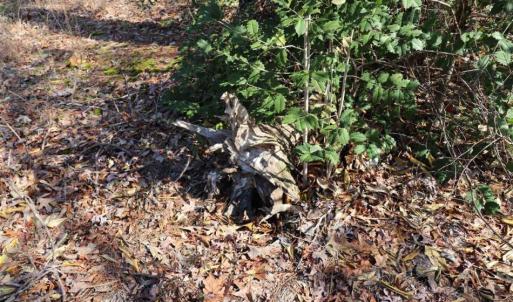 Photo of UNDER CONTRACT!!  1.1 Acres of Residential Land for Sale in Bladen County NC!