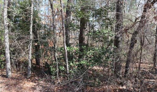 Photo of UNDER CONTRACT!!  1.1 Acres of Residential Land for Sale in Bladen County NC!