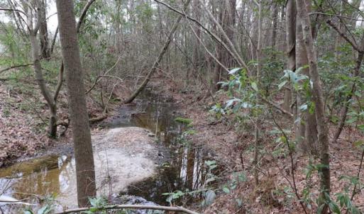 Photo of UNDER CONTRACT!!  1.1 Acres of Residential Land for Sale in Bladen County NC!