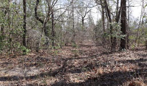 Photo of UNDER CONTRACT!!  1.1 Acres of Residential Land for Sale in Bladen County NC!
