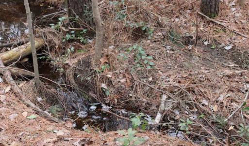 Photo of UNDER CONTRACT!!  1.1 Acres of Residential Land for Sale in Bladen County NC!