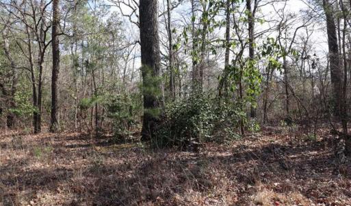 Photo of UNDER CONTRACT!!  1.1 Acres of Residential Land for Sale in Bladen County NC!