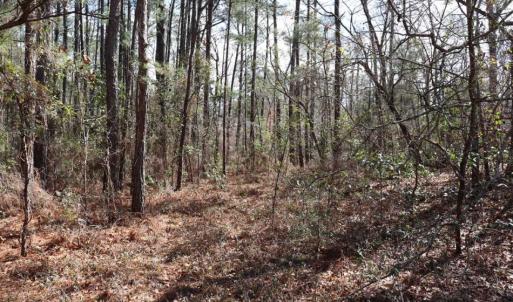 Photo of UNDER CONTRACT!!  1.1 Acres of Residential Land for Sale in Bladen County NC!