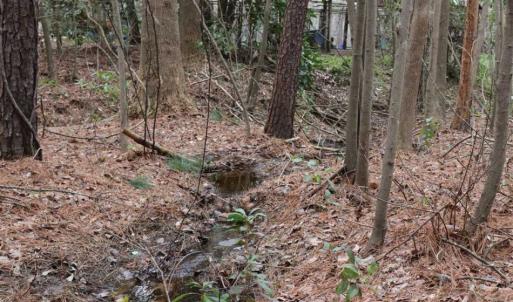Photo of UNDER CONTRACT!!  1.1 Acres of Residential Land for Sale in Bladen County NC!