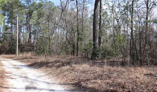 Photo of UNDER CONTRACT!!  1.1 Acres of Residential Land for Sale in Bladen County NC!