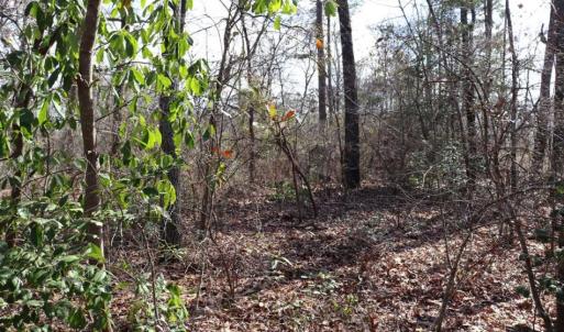Photo of UNDER CONTRACT!!  1.1 Acres of Residential Land for Sale in Bladen County NC!