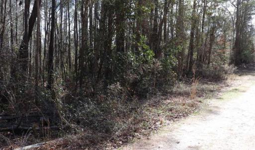 Photo of UNDER CONTRACT!!  1.1 Acres of Residential Land for Sale in Bladen County NC!