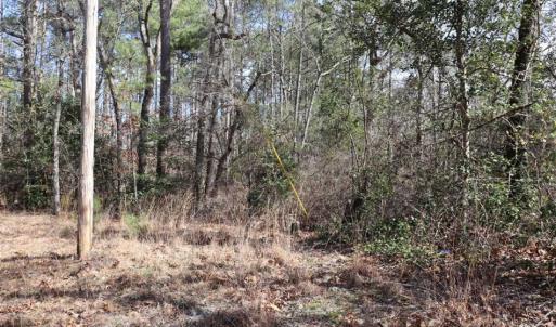 Photo of UNDER CONTRACT!!  1.1 Acres of Residential Land for Sale in Bladen County NC!