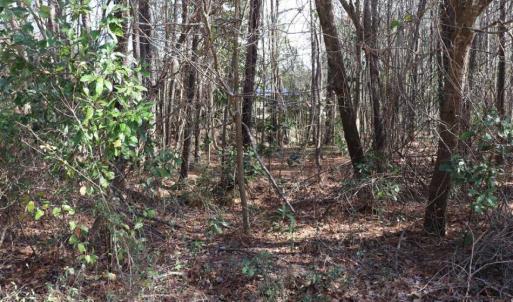 Photo of UNDER CONTRACT!!  1.1 Acres of Residential Land for Sale in Bladen County NC!