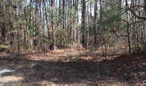 Photo of UNDER CONTRACT!!  1.1 Acres of Residential Land for Sale in Bladen County NC!