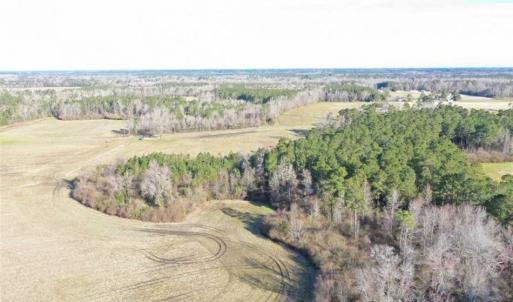 Photo of SOLD!!  30.71 Acres of Farm and Hunting Land for Sale in Columbus County NC!