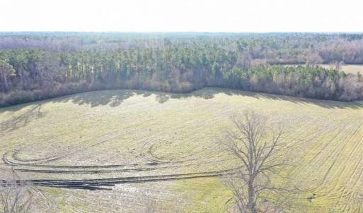 Photo of SOLD!!  30.71 Acres of Farm and Hunting Land for Sale in Columbus County NC!