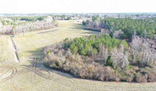 Photo of SOLD!!  30.71 Acres of Farm and Hunting Land for Sale in Columbus County NC!