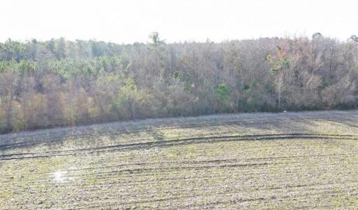 Photo of SOLD!!  30.71 Acres of Farm and Hunting Land for Sale in Columbus County NC!