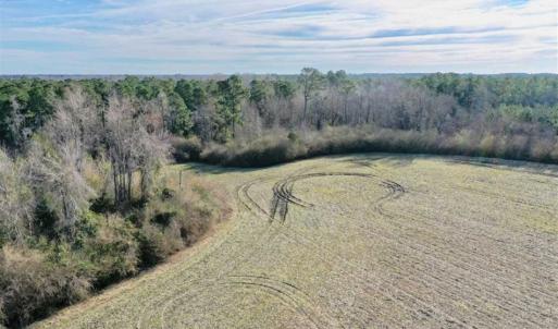 Photo of SOLD!!  30.71 Acres of Farm and Hunting Land for Sale in Columbus County NC!