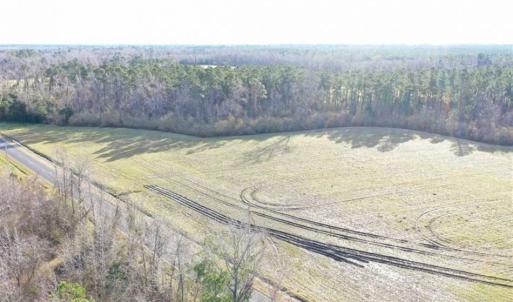 Photo of SOLD!!  30.71 Acres of Farm and Hunting Land for Sale in Columbus County NC!