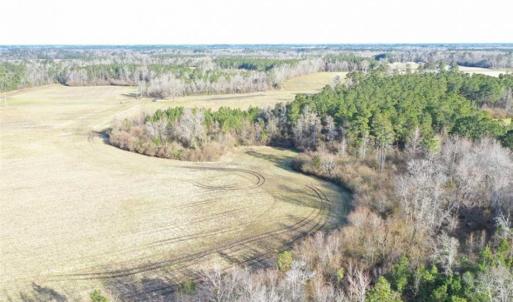Photo of SOLD!!  30.71 Acres of Farm and Hunting Land for Sale in Columbus County NC!