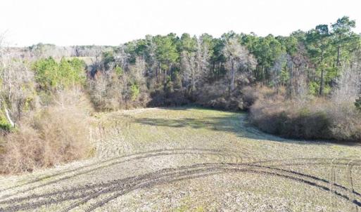 Photo of SOLD!!  30.71 Acres of Farm and Hunting Land for Sale in Columbus County NC!