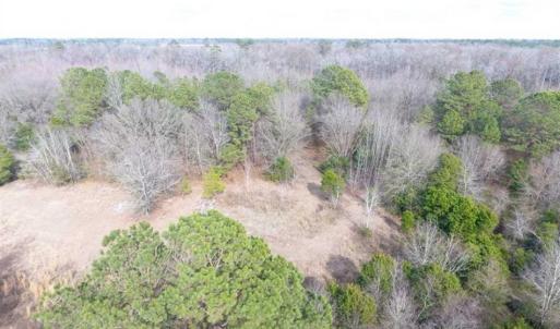 Photo of SOLD!!  16.97 Acres of Hunting and Residential Land for Sale in Robeson County NC!