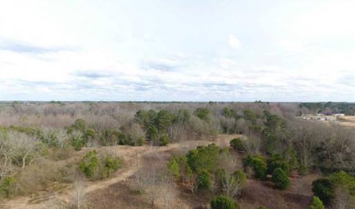 Photo of SOLD!!  16.97 Acres of Hunting and Residential Land for Sale in Robeson County NC!