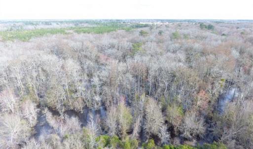 Photo of SOLD!!  16.97 Acres of Hunting and Residential Land for Sale in Robeson County NC!