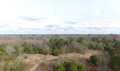 Photo of SOLD!!  16.97 Acres of Hunting and Residential Land for Sale in Robeson County NC!