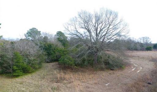Photo of SOLD!!  16.97 Acres of Hunting and Residential Land for Sale in Robeson County NC!
