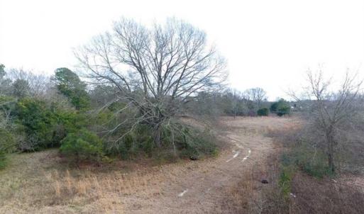 Photo of SOLD!!  16.97 Acres of Hunting and Residential Land for Sale in Robeson County NC!