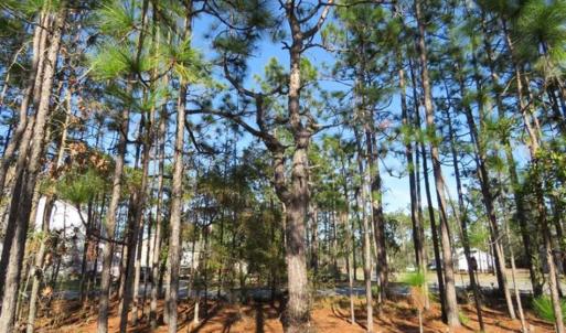 Photo of SOLD!! Residential Lot For Sale in Brunswick County NC!
