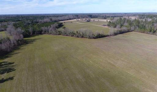 Photo of REDUCED!  191.03 Acres of Farm and Timber Land for Sale in Horry County SC!