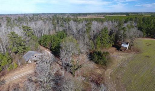 Photo of REDUCED!  191.03 Acres of Farm and Timber Land for Sale in Horry County SC!