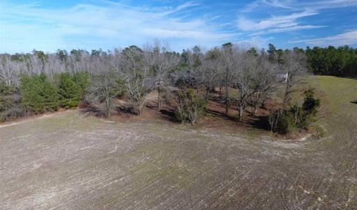 Photo of REDUCED!  191.03 Acres of Farm and Timber Land for Sale in Horry County SC!