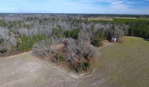 Photo of REDUCED!  191.03 Acres of Farm and Timber Land for Sale in Horry County SC!