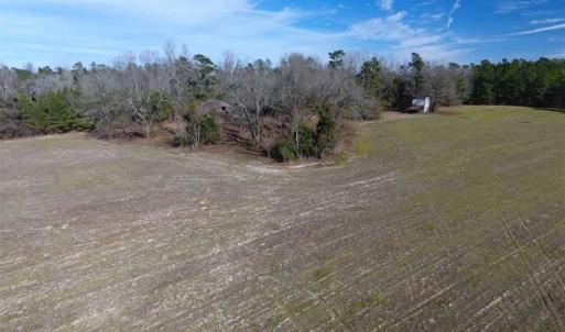 Photo of REDUCED!  191.03 Acres of Farm and Timber Land for Sale in Horry County SC!